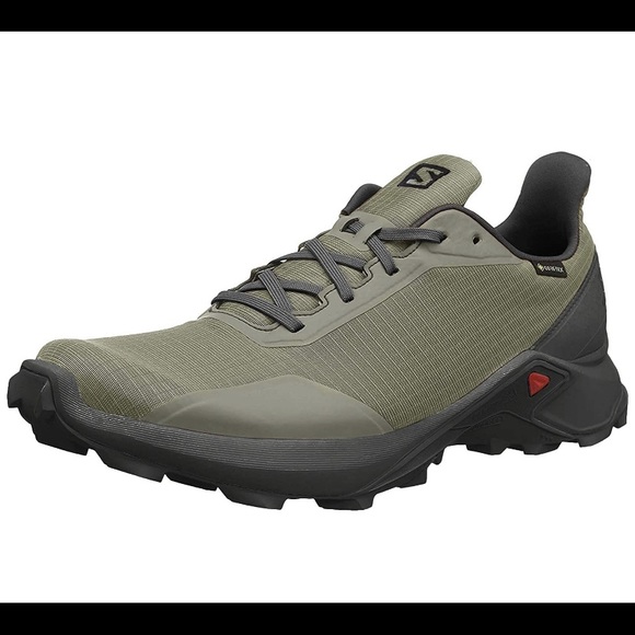 salomon alphacross gtx